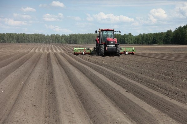 Минсельхоз в 2017 году планирует увеличить посев экспортоориентированных сельхозкультур &mdash; Tazabek