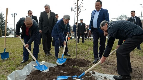 Главное фото