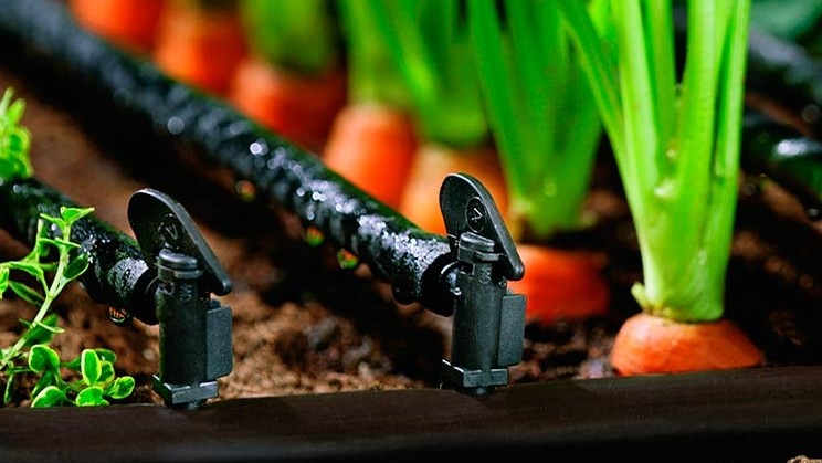 Сельское хозяйство как бизнес: Сколько стоит установка системы капельного орошения? &mdash; Tazabek