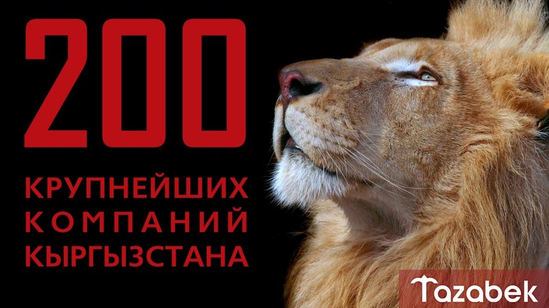 ТОП-200: &laquo;Золото по цене меди&raquo; - до 1 ноября &mdash; Tazabek