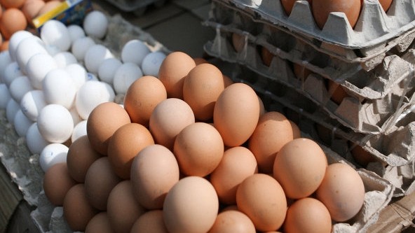 Ассоциация птицеводов попросила создать рабочую группу по выявлению незаконного ввоза куриной продукции &mdash; Tazabek