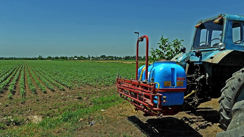 В 2019-2021 годы в сельское хозяйство Кыргызстана в рамках Программы стратегических возможностей будет инвестировано $50 млн &mdash; Tazabek