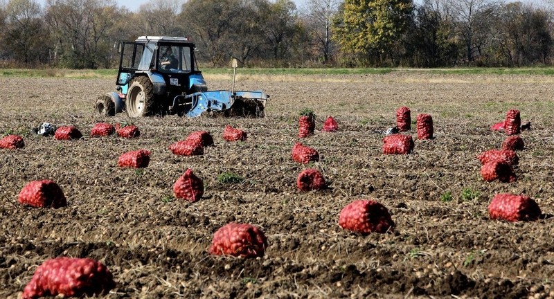 В 2017 году за счет льготного кредитования объемы сельхозпроизводства увеличились на 10-15%, - Минэкономики &mdash; Tazabek