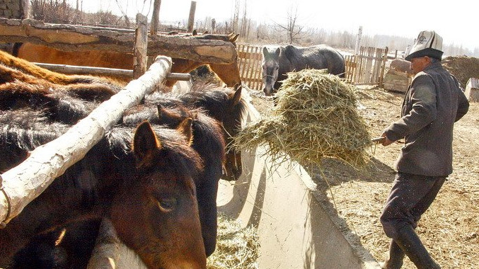 Валовой выпуск сельхозпродукции за 5 месяцев 2018 года составил 41,4 млрд сомов, - Нацстатком &mdash; Tazabek