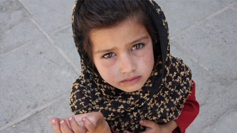 Центр защиты детей расскажет школьникам о правах девочек