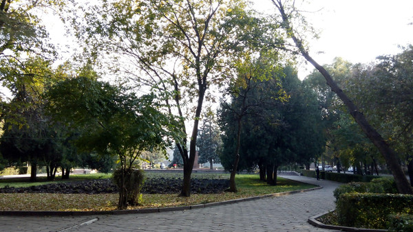 Главное фото