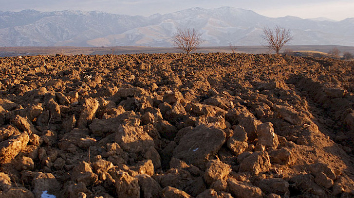 Правительство дополнило Временное положение о трансформации земельных участков &mdash; Tazabek