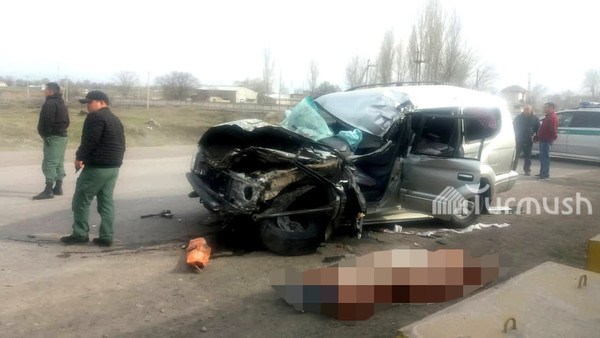 Главное фото