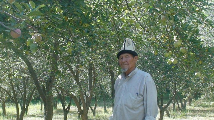 Главное фото