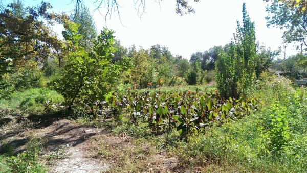 Главное фото