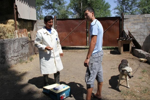 Главное фото