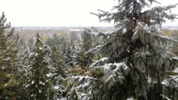 Главное фото