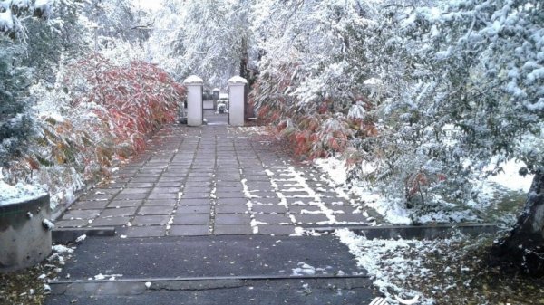 Главное фото