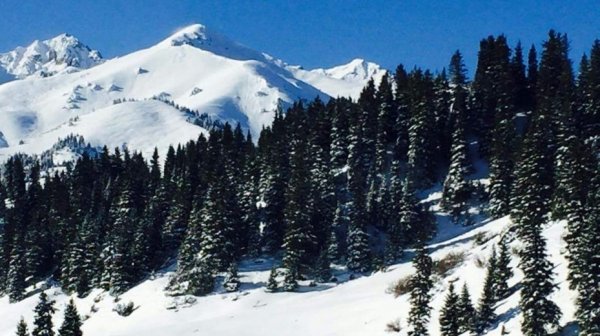 Главное фото