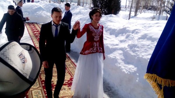 Главное фото