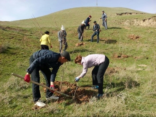 Главное фото