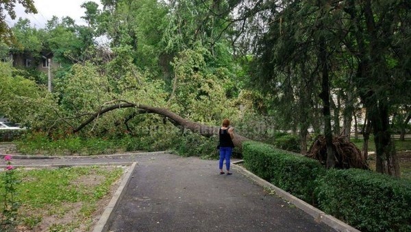 Главное фото