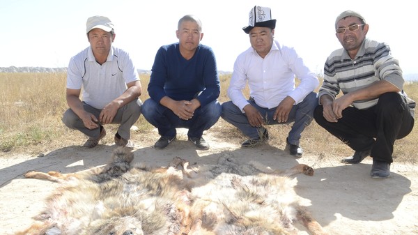 Главное фото