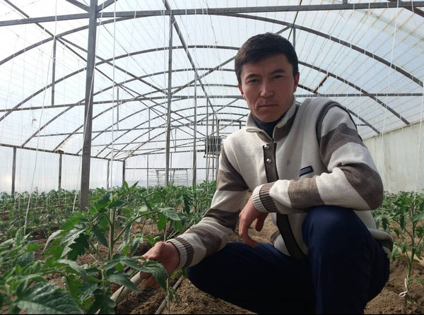 Главное фото