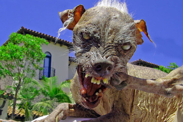 Главное фото