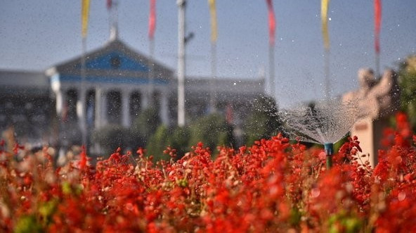 Главное фото