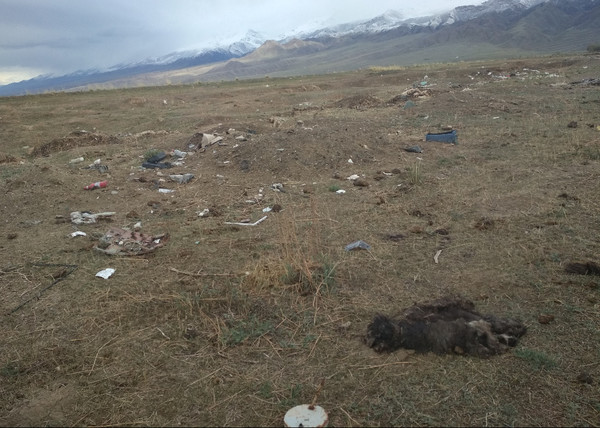 Главное фото