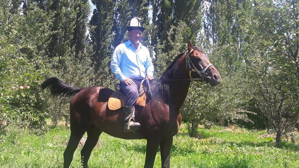 Главное фото