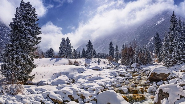 Главное фото