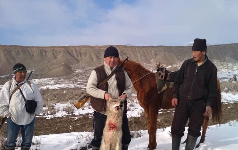 Главное фото