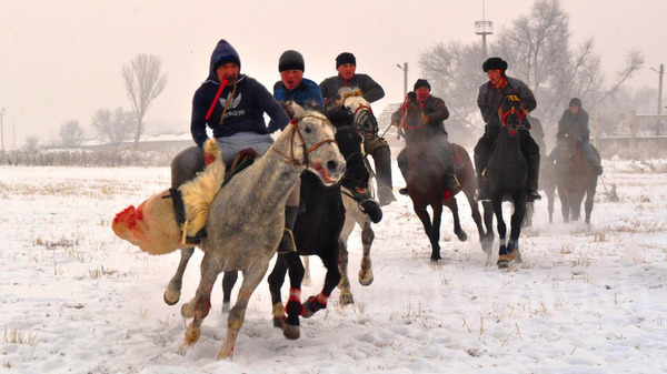 Главное фото