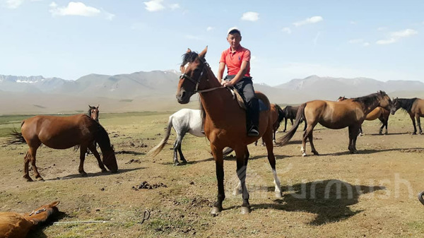 Главное фото