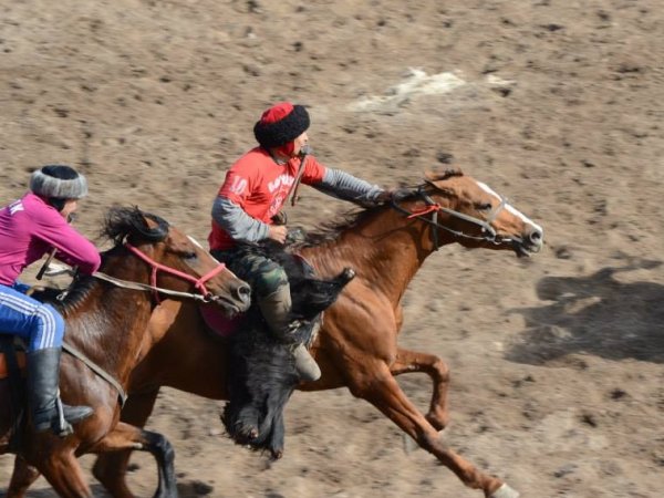 Главное фото