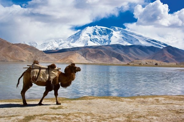 Главное фото