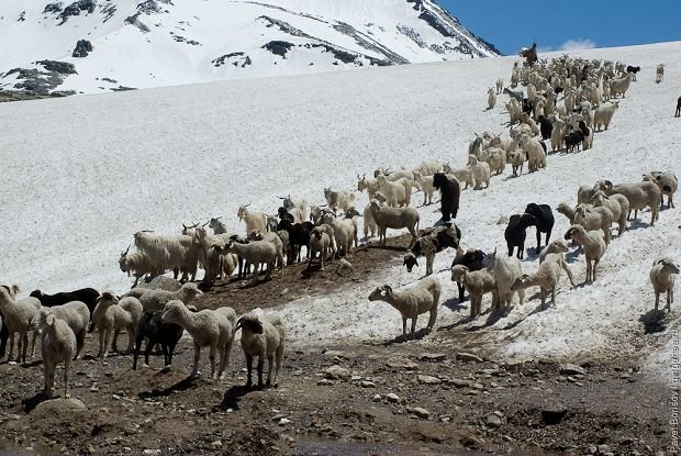 Главное фото