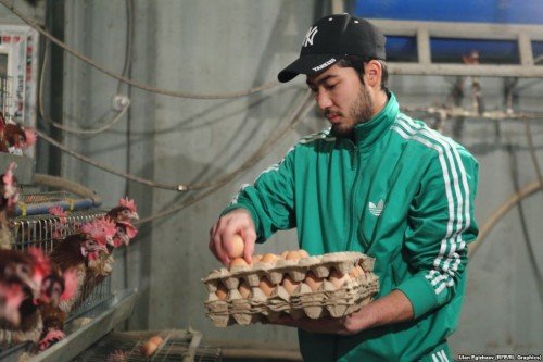 Главное фото