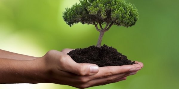 Увеличение доходной части бюджета с помощью зеленой экономики возможно, но нужно быть осторожными, - Минэкономики &mdash; Tazabek