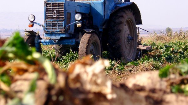 Депутат ЖК предложил разрешить международным организациям, создаваемым КР в рамках ЕАЭС с другими странами, выступать в качестве залогодержателя земель сельхозназначения &mdash; Tazabek