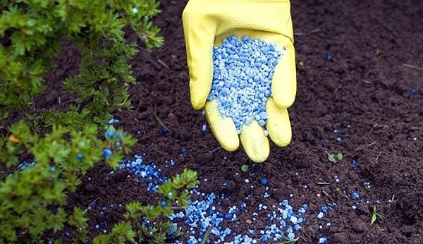 При потребности КР в 200 тыс. тонн минудобрений имеется 35 тыс. тонн или 17,5%, - Минсельхоз &mdash; Tazabek