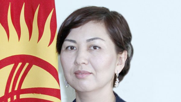 Всего лишь 200-250 тыс. человек в КР занимаются бизнесом, им нужна господдержка, - депутат М.Мавлянова &mdash; Tazabek