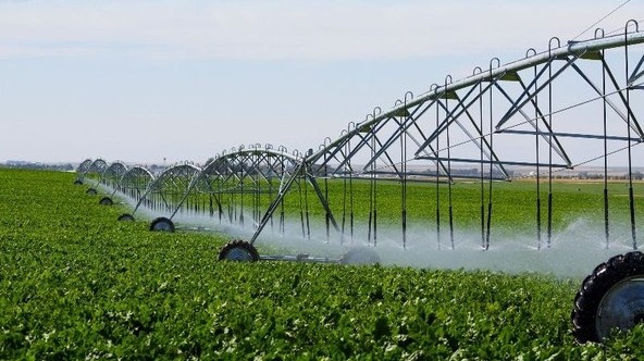 Минсельхоз предложил инвесторам для реализации 12 ирригационных объектов &mdash; Tazabek