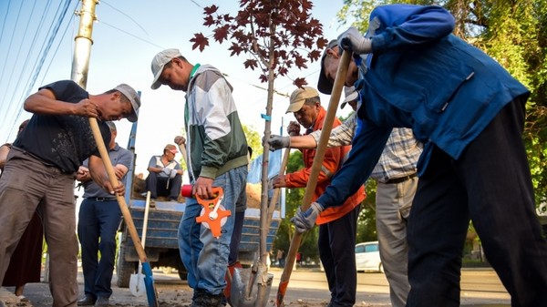 Главное фото
