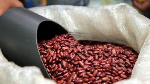В какие страны Кыргызстан экспортирует фасоль? (список и объем) &mdash; Tazabek