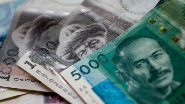 Минобразования: ВУЗы сами могут устанавливать цену на обучение