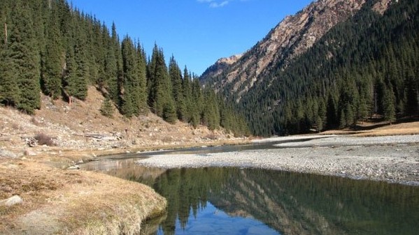 На балансе государственного природного парка &laquo;Каракол&raquo; находится 8 жилых домов (список) &mdash; Tazabek