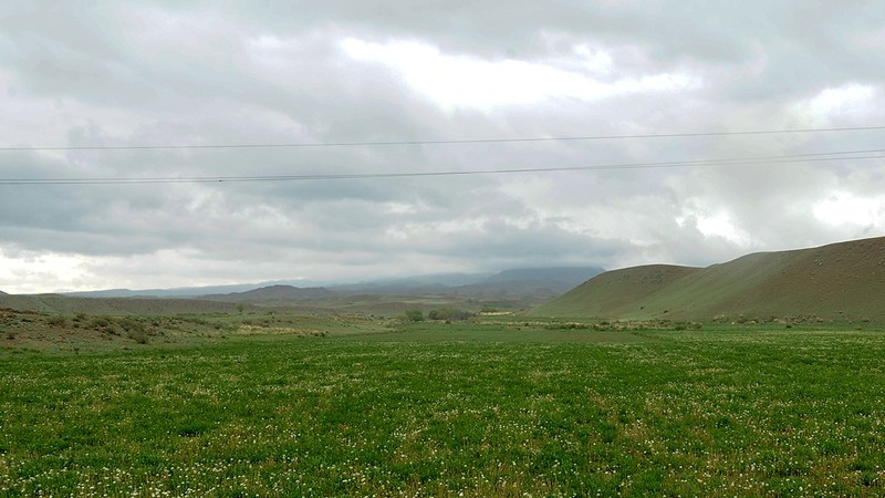 Депутат предложил дать возможность предоставлять земли пастбищ для добычи всех видов полезных ископаемых &mdash; Tazabek