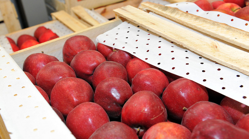 Жогорку Кенеш одобрил получение от IFAD $25,4 млн на проект обеспечения доступа к рынкам &mdash; Tazabek