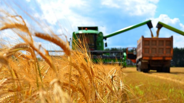 Минсельхоз начал реализацию проекта в агропродовольственном комплексе Кыргызстана стоимостью в $55,4 млн &mdash; Tazabek