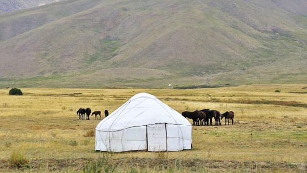 Из-за малопродуктивности пастбищных земель может произойти продовольственный кризис, - депутат о трансформации земель &mdash; Tazabek
