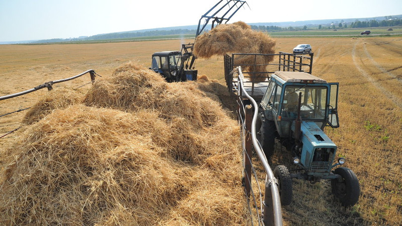 ТОП-3 региона-лидера по заготовке сена (объемы) &mdash; Tazabek