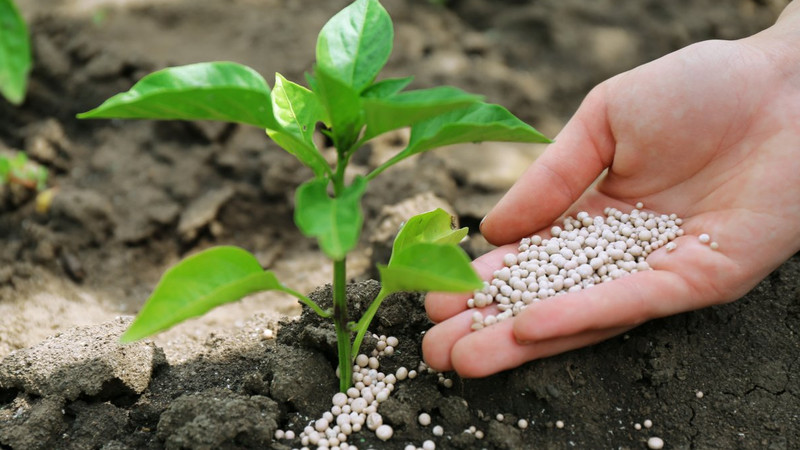 Сколько стоят  минеральные удобрения в Кыргызстане? (таблица) &mdash; Tazabek